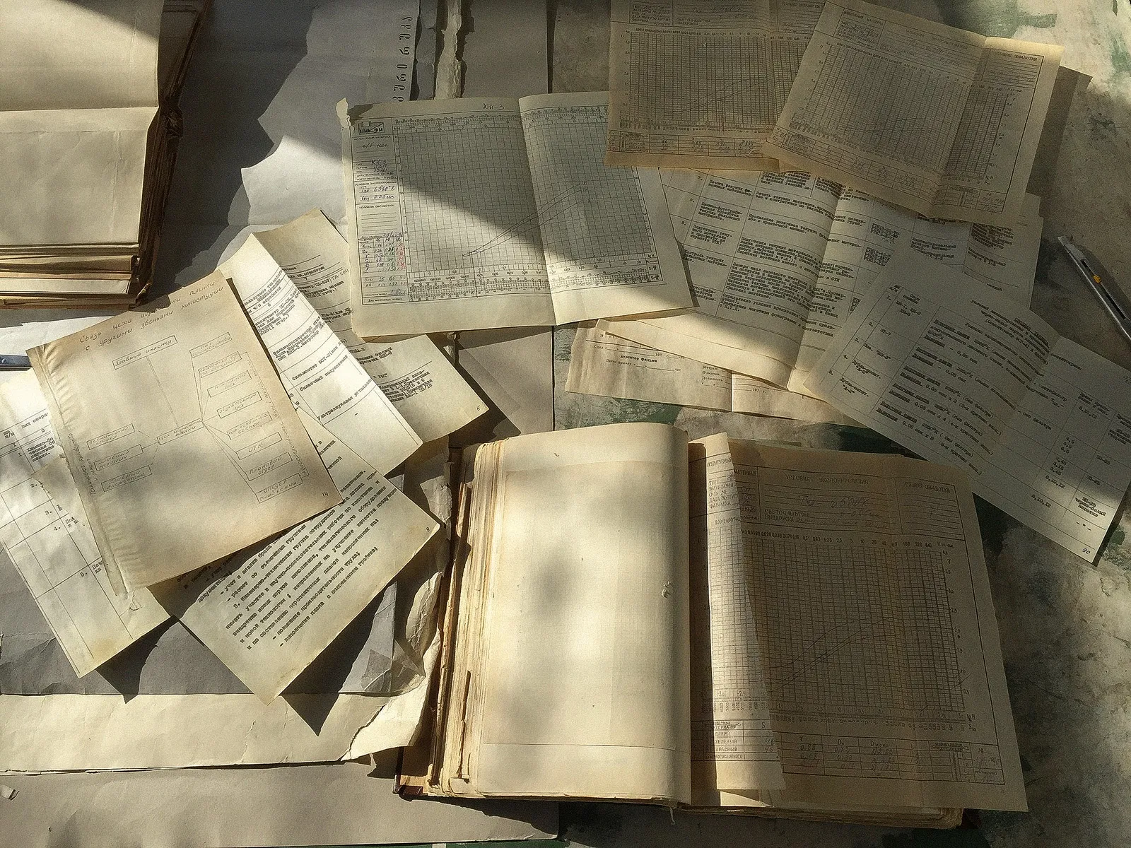Old ledgers and typed sheets spread out in sunlight.