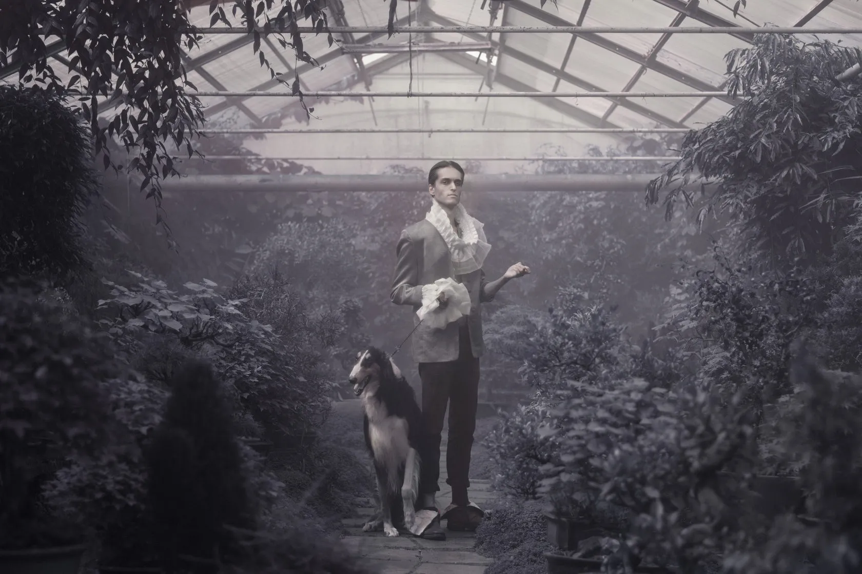 Philipp Soloviev in a ruffled collar stands with a borzoi in a misty greenhouse.
