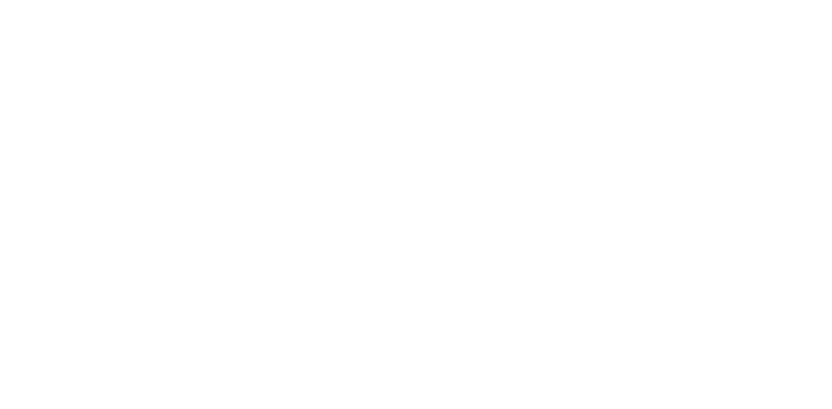 Velvet Music