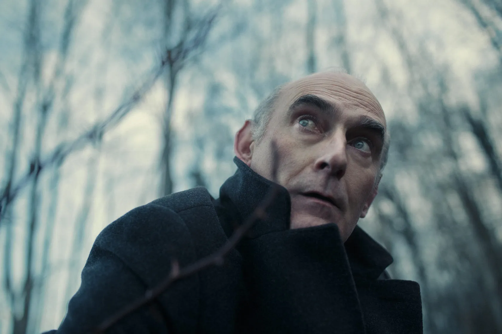 Michel Honaker looks up through bare branches, his coat collar raised.