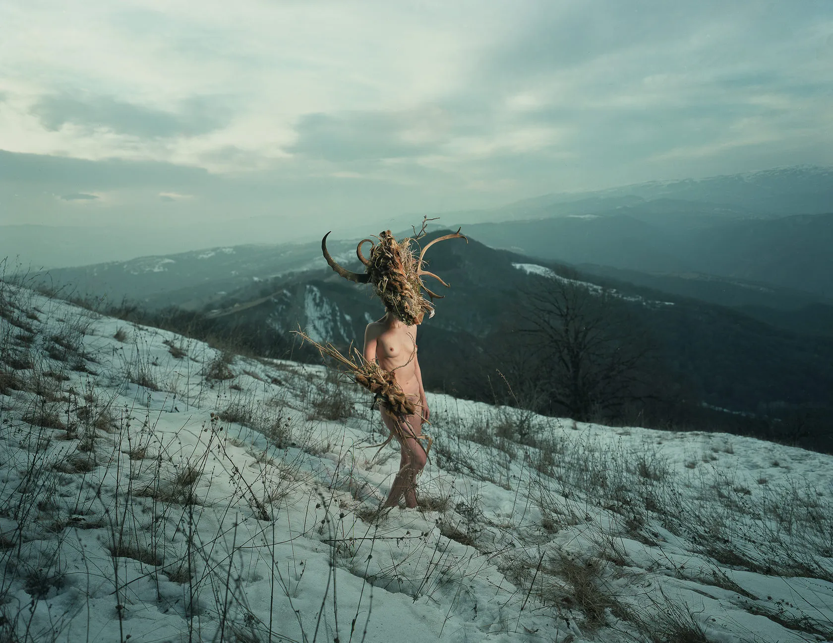 Dàli, crowned with horns and dry grass, walks across a snowy mountain slope.